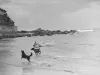 coogee-beach-racehorses-swimming
