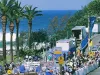 bronte-road-race-