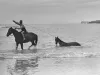 racehorse-trainer-swimming-coogee-beach