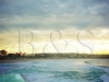 bondi_dawn