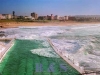 bondi_icebergs