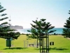 bronte_pines