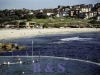 bronte_rock_pool1