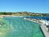 bronte_rock_pool3