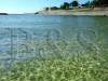 clovelly_rock_pool