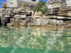 coogee_rock_pool2