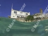 coogee_swimmer