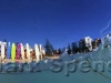 cronulla_crays