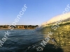 golden_wave