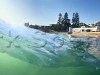south_cronulla_beach