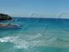 tamarama_surf_club