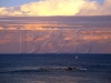 wedding_cake_island1